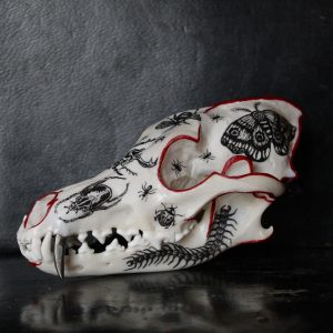 Creepy Crawly Coyote