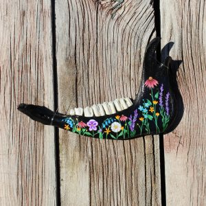 Floral Bison Jaw