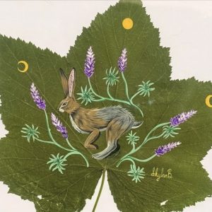 Jack Rabbit Leaf
